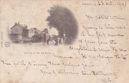 59 / AVESNES / AVENUE DU JEU DE BALLE /  PRECURSEUR 1901 - Avesnes Sur Helpe