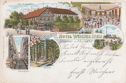 Litho AK Gruß Jonsdorf Hotel Gasthof Weißer Stein A Neujonsdorf Oybin Waltersdorf Leutersdorf Hain Hartau Zittau Gebirge - Jonsdorf