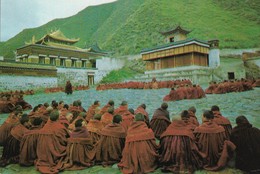 CARTE POSTALE ORIGINALE 10CM/15CM  : BUDDHIST ACTIVITIES ANIMEE TIBET - Tíbet