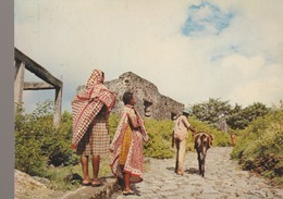 C. P. - PHOTO - DOMONI - AUJOUAN - COMORES - SCÈNE FAMILIÈRE - 82 - OPTICAM - - Comorre