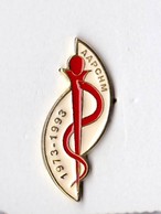 PIN S CADUCEE MEDECINE PHARMACIE AAPCHM 1973 1993 - Geneeskunde