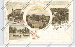 0-6518 WEIDA, Aumathal, Schloss Osterburg, Restaurant Aumühle, Lithographie - Weida