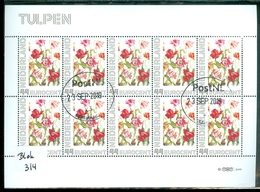 NEDERLAND BLOK VAN 10 * TULPEN * BLOC BLOCK * GEBRUIKT * POSTFRIS GESTEMPELD  (314) - Timbres Personnalisés