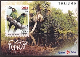 Cuba 2009 Fauna Local Birds Animals Aratinga Euops Parrot Tourism Tree Forest Nature Bird Parrots M/S Stamps MNH - Perroquets & Tropicaux