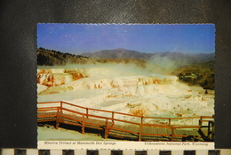 CP, USA, Minerva Terrace At Mammoth  Hot Springs, Yellowstone National Park 1982 - USA National Parks