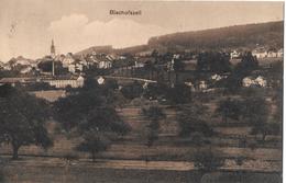 BISCHOFSZELL → Generalansicht Anno 1913 - Bischofszell