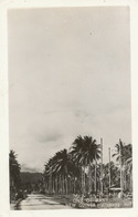 Real Photo  One Of The Many New Guinea Highways  No 9 - Papouasie-Nouvelle-Guinée