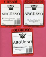 1615 - Espagne - Andalousie - Lot 5 étiquettes Bodegas Argüeso - Sanlucar De Barrameda - Otros & Sin Clasificación