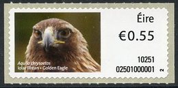 IRELAND (2010). SOAR - ATM - Aquila Chrysaetos, Golden Eagle, águila Real, Steinadler, Iolar Fíréan - Affrancature Meccaniche/Frama