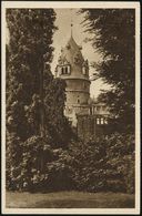 TÜRME : Detmold 1934 6 Pf. BiP WHW-Lotterie, Grün: Schloß-Turm (Einzelkarte) Gest. BISSINGEN, Bedarf (Mi.P 254/40) - Monumenti