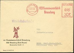 GUMMI / KAUTSCHUK : BRIESELANG (KR NAUEN)/ VEB Gummiwarenfabrik 1965 (19.10.) AFS Klar Auf Firmen-Bf.: VEB Gummiwarenfab - Chemistry