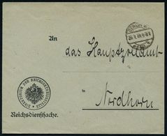 STAATL. INSTITUTIONEN DER WEIMARER REPUBLIK : BERLIN W/ *50a 1919 (23.1.) 1K-Brücke Auf Dienst-Bf.: DIREKTORIUM DER REIC - Other & Unclassified