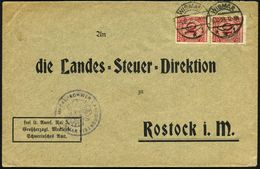 STAATL. INSTITUTIONEN DER WEIMARER REPUBLIK : WISMAR/ **i 1923 (5.12.) 1K-Steg Auf Paar 10 Pf. Korbdeckel Auf Dienstbf.: - Autres & Non Classés