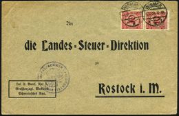 STAATL. INSTITUTIONEN DER WEIMARER REPUBLIK : WISMAR/ **i 1923 (5.12.) 1K-Steg Auf Paar 10 Pf. Korbdeckel Auf Dienstbf.: - Altri & Non Classificati