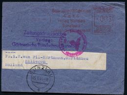 II. WELTKRIEG (1939 - 1945) : BUNZLAU/ Gauverlag NS-Schlesien.. 1944 (5.1.) AFS 003 Pf. + Viol. Abs.-3L: Zeitungsdrucksa - WO2