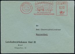 GESCHICHTE DER BUNDESREPUBLIK DEUTSCHLAND : (24b) KIEL 2/ DENKT AN HELGOLAND!/ Der Jnnenminister/ Des Landes Schleswig-H - Altri & Non Classificati