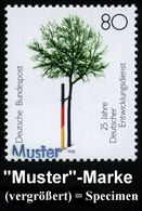 GESCHICHTE DER BUNDESREPUBLIK DEUTSCHLAND : B.R.D. 1988 (Mai) 80 Pf. "25 Jahre Deutscher Entwicklungsdienst" DED Mit Amt - Autres & Non Classés