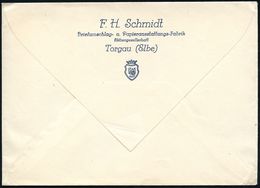 PAPIER / PAPIERVERARBEITUNG / ZELLSTOFF : TORGAU/ FHS/ BRIEF-PAPIER/ F.H.Schmidt/ Briefumschlag-u./ Papierausstattungsfa - Zonder Classificatie