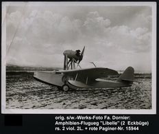 FLUGZEUGINDUSTRIE & -TYPEN : Friedrichshafen 1925 (ca.) Orig. S/w.-Dornier-Werks-Foto: Wasserflugzeug Dornier Do A "Libe - Avions