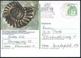 PALÄONTOLOGIE / SAURIER / AUSGESTORBENE TIERE : 8630 Coburg 1981 (3.2.) 50 Pf. BiP Burgen, Grün: Natur-Museum Coburg.. V - Andere & Zonder Classificatie