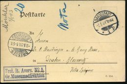 PALÄONTOLOGIE / SAURIER / AUSGESTORBENE TIERE : DARMSTADT/ *1p 1903 (2.5.) 1K-Gitter + Ra2: Frei Lt. Avers. No.5 /Gr. Mu - Sonstige & Ohne Zuordnung