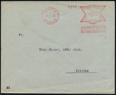 INTERNATIONALE IN- & AUSLANDS-MESSEN : TSCHECHOSLOWAKEI 1933 (31.1.) AFS: LIBEREC 3/REICHENBERG 3/..REICHENBERGER MESSE. - Non Classés