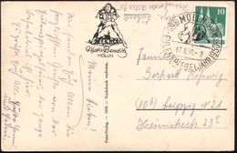 KARNEVAL / FASTNACHT / NARREN : (24a) MÖLLN (LAUSENB)/ EULENSPIEGELJAHR 1950 (7.8.) HWSt = Handspiegel Mit Narrenkappe , - Karnaval