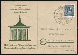 KUNSTMUSEEN / GALERIE : PILLNITZ POSTAMT/ (ELBE)/ Schloss Pillnitz/ MUSEUM 1946 (7.7.) Seltener SSt = Hauspostamt (Museu - Musées