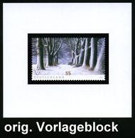 METEOROLOGIE / KLIMA / WETTER : B.R.D. 2004 (Nov.) 55 C. "Winterstimmung" (Eichenallee)  U N G E Z.  Vorlageblock Bundes - Klima & Meteorologie