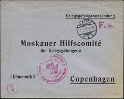 KGF-POST I.WELTKRIEG (1914-18) : MAINZ/ *1d 1917 (7.2.) 1K-Gitter + Roter 2K-HdN: Prüfungsstelle Des/Offiziergefangenenl - Croix-Rouge