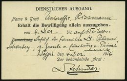 KGF-POST I.WELTKRIEG (1914-18) : SCHWEIZ 1916 (4.12) ärztliche Ausgangsgenehmigung Für Einen Deutschen Internierten Unte - Croce Rossa