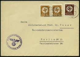 MEDIZINISCHE INSTITUTIONEN & INSTITUTE : Berlin NW 7 1943 (1.2.) Behördendienst 2x 3 Pf. U. 10 Pf. + Viol. 1K-HdN: Pharm - Medicina