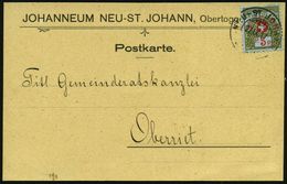 KRANKENHAUS / HOSPITAL : SCHWEIZ 1917 (27.9.) Portofreiheit 5 C. Alpenrose, Aufdruck "435", EF , Dienst-Kt: JOHANNEUM NE - Médecine