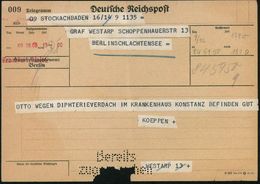 SEUCHEN / EPEDEMIE-BEKÄMPFUNG : Berlin-Schlachtensee 1938 (9.12.) Telegramm: Haupttelegraphenamt/Berlin + Roter Telegram - Maladies