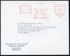 SEUCHEN / EPEDEMIE-BEKÄMPFUNG : NIEDERLANDE 1954 (3.6.) AFS: AMSTERDAM/1230/KONINKLIJK/INSTITUUT/VOOR DE/TROPEN (Palmen, - Maladies