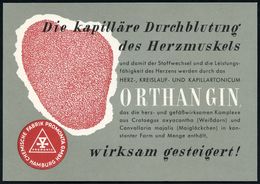 PHARMAZIE / MEDIKAMENTE : (24a) HAMBURG 1/ DEUTSCHE/ BUNDESPOST 1953 (31.8.) PFS 4 Pf. Posthorn Auf Dekorativer Color-Re - Farmacia