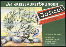 PHARMAZIE / MEDIKAMENTE : (22c) KÖLN 1/ Josicol/ Paluvit../ APB/ Chem.-Pharm.Fabrik P.Bolder 1953 (21.9.) AFS (Monogr.-L - Farmacia