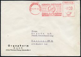 PHARMAZIE / MEDIKAMENTE : (13b) MÜNCHEN-PASING/ HORMON-PRÄPARATE/ ORGANON/ ORGAPHARM 1953 (13.11.) AFS (Firmen-Logo: Pac - Pharmacie