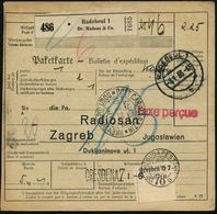 HOMÖOPATHIE / HEILPFLANZEN : Radebeul 1/ Dr.Madaus & Co. 1936 (4.1.) Selbstbucher-Paketzettel + Roter 1L: Taxe Percue +  - Médecine
