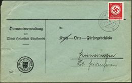 NS-RASSENEUGENIK & EUTHANASIE : SCHUSSENRIED (WÜRTT)/ A 1938 (21.6.) 2K-Steg Auf EF 12 Pf. Behördendienst , Dienst-Bf.:  - Autres & Non Classés