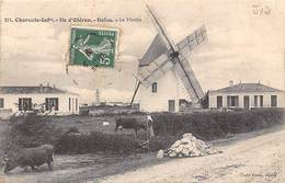 Ile D'Oléron. Dolus     17     Moulin A Vent     (voir Scan) - Ile D'Oléron