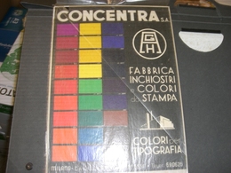 TARGA PUBBLICITARIA IN CARTONE FABBRICA COLORI CONCENTRA MILANO - Plaques En Carton