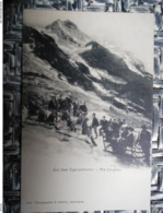 CPA. AUF DEM EIGERGLETSCHER - LA JUNGFRAU - Carte Animé - Sur Le Glacier De La EIGER - Non écrite - Au