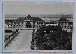 SAINT-LOUIS (Haut-Rhin) - La Gare - Train Station -  Nv F2 - Saint Louis