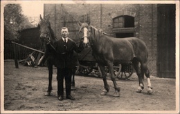 ! Alte Fotokarte Photo Pferde, Horses - Paarden