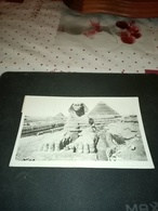 A1:carte Photo Du Sphinx - Sphynx