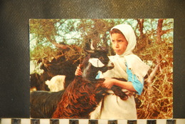 CP, MAROC,  AGADIR, Vers Agadir Tout Le Charme De Souss Jeune Bergère Et Chèvres - Agadir