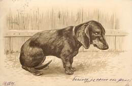 CHIEN -Teckel Portrait.(carte Gaufrée) - Hunde