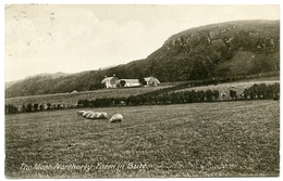 ISLE OF BUTE : THE MOST NORTHERLY FARM IN BUTE (ETTRICK BAY) / POSTMARK - PORT BANNATYNE / ADDRESS - LYTHAM, LORNE ST - Bute