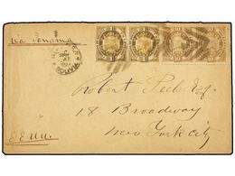 BOLIVIA. Sc.40 (2), 43 (2). 1897. BOLIVIA A NEW YORK. 1 Ctvo. Oliva (2) Y 10 Cts. Castaño Claro. - Other & Unclassified